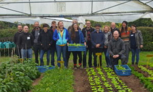 30% Funding Announced for QQI Level 5 Organic Gardening ...