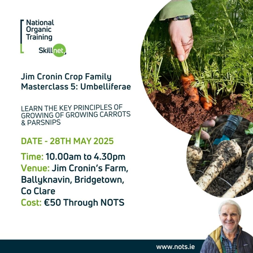 Jim Cronin Crop Family Masterclass 5: Umbelliferae