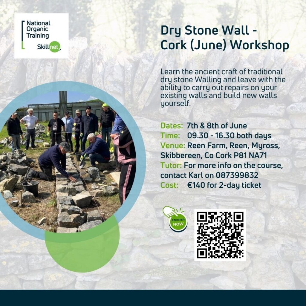 Dry Stone Wall Course – Cork (June)