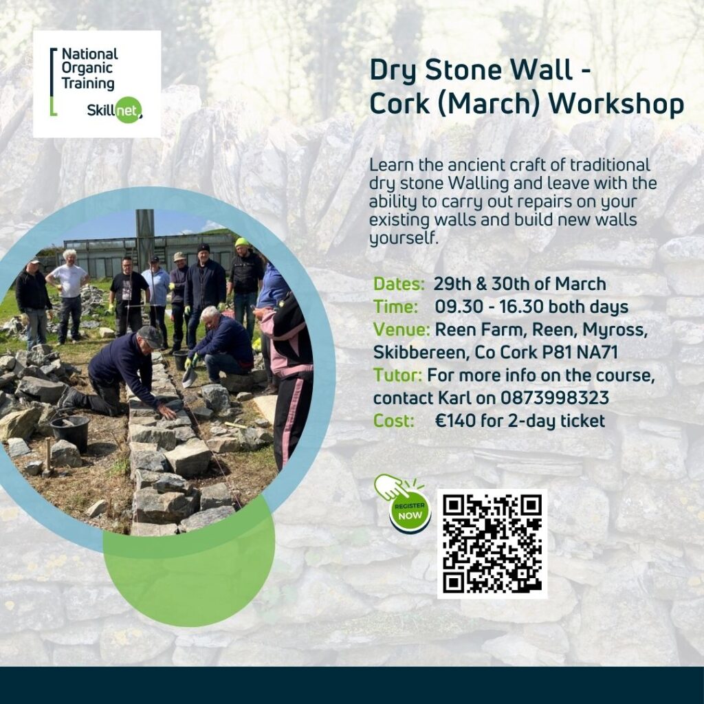 Dry Stone Wall Course – Cork (March)
