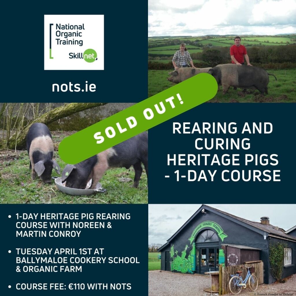 Intro to Rearing and Curing Heritage Pigs