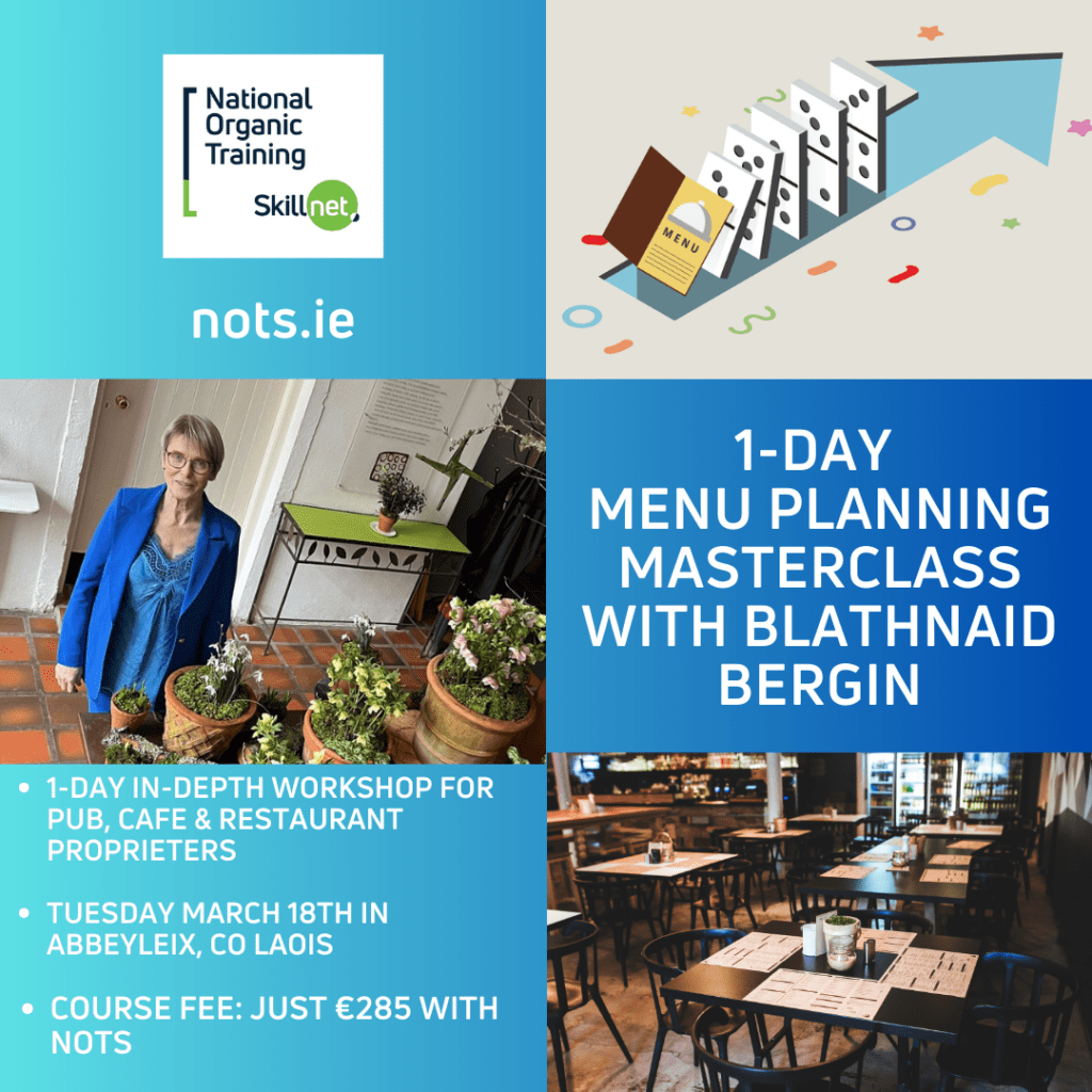 1-Day Menu Planning Masterclass with Blathnaid Bergin