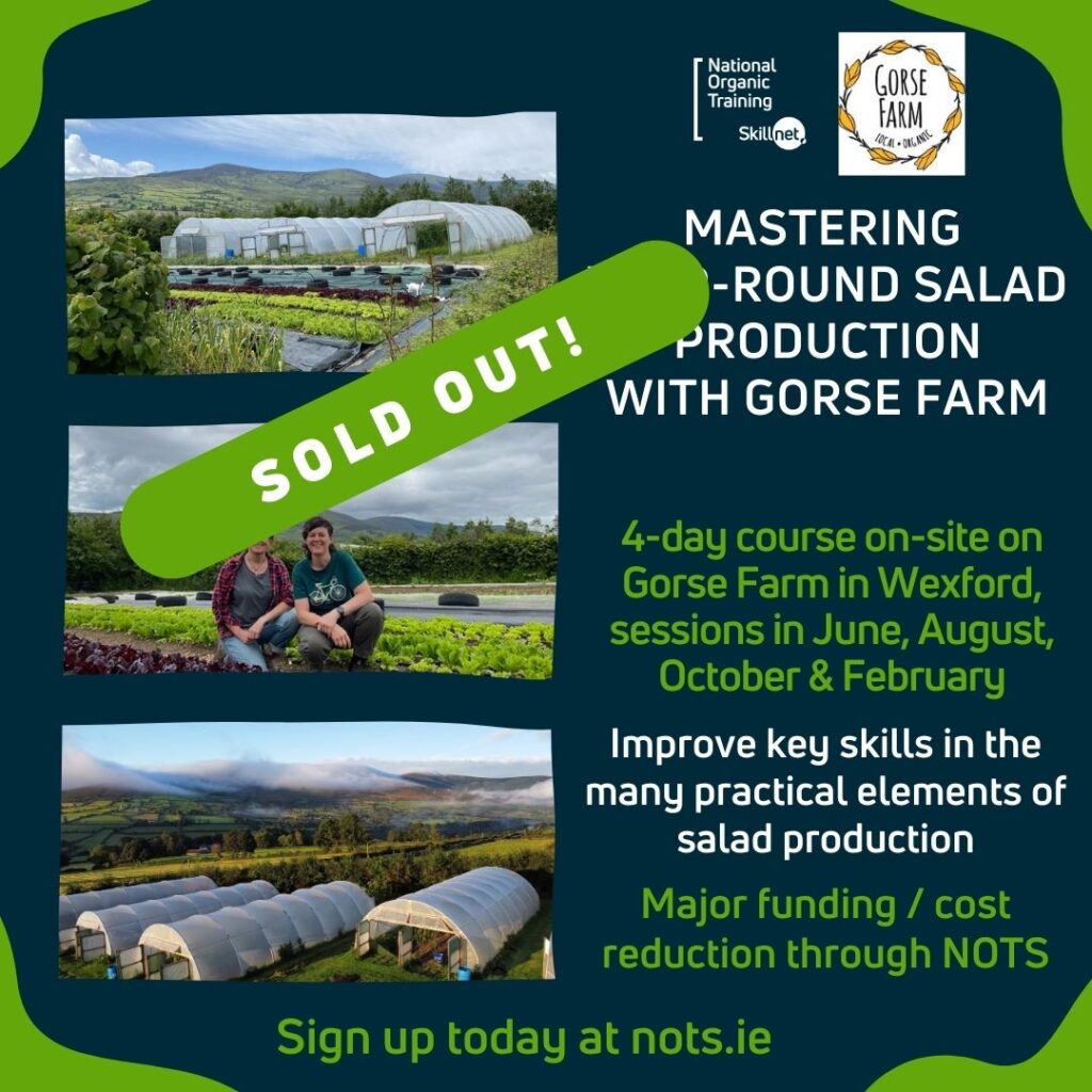 Mastering Year-Round Salad Production with Gorse Farm