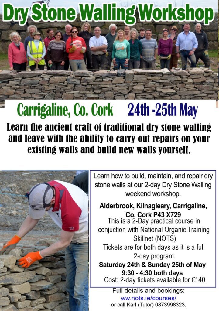 Dry Stone Wall Course – Cork (May)
